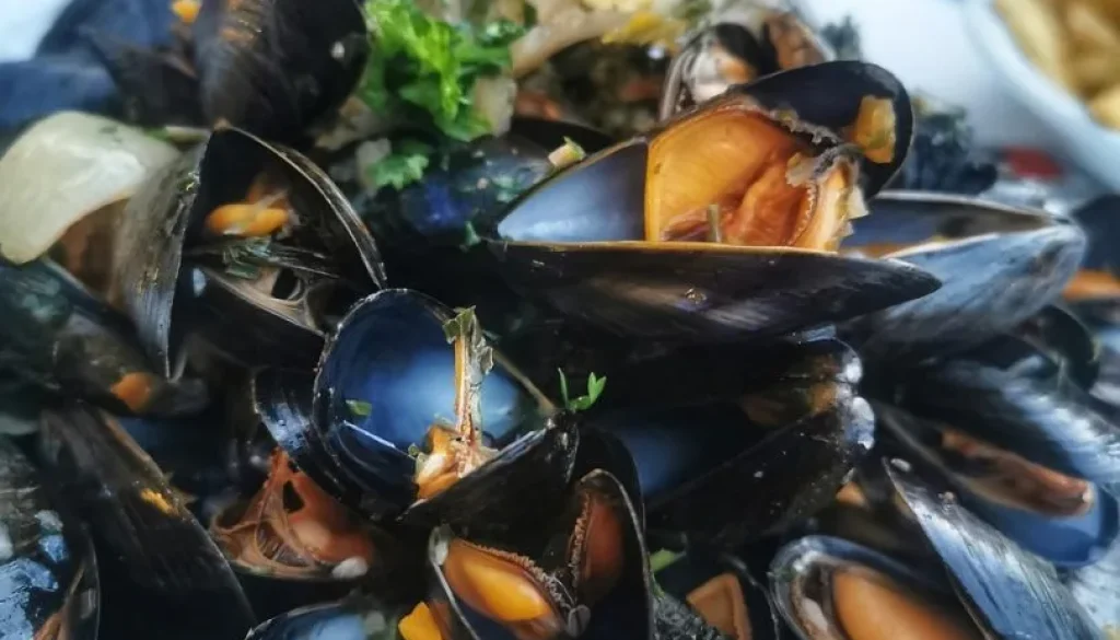 Cozze