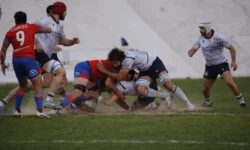 Italia XV