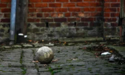 Calcio