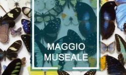 Locandina maggio museale