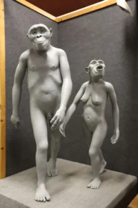Museo delle origini polo museale sapienza cultura