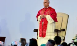 Papa leone image photo