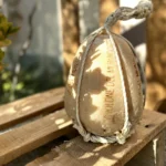 Provolone img