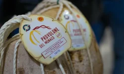 Provolone del monaco dop alta risoluzione