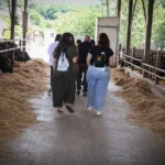 Bufala tour tenuta del lagoo caiazzo