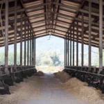 Tenuta del lago bufale