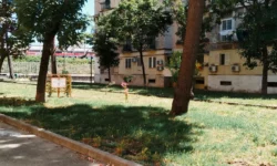 Aiuole in rigenerazione rione luzzatti napoli