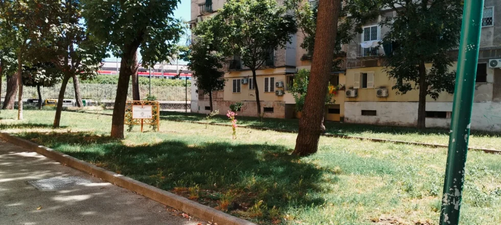 Aiuole in rigenerazione rione luzzatti napoli