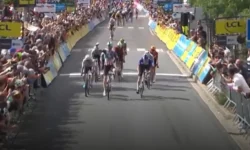 Simmons