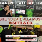 Visite guidate alla mostra insetti & co