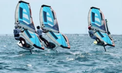 Wing regata