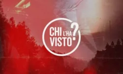 Chi l'ha visto