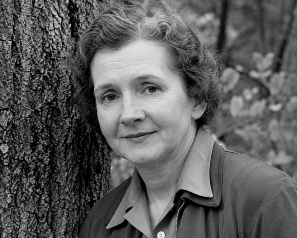 Storia di donne che hanno lasciato il segno nella storia: Rachel Carson, la donna che sfidò l'industria chimica